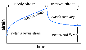 rs_sst_graph2